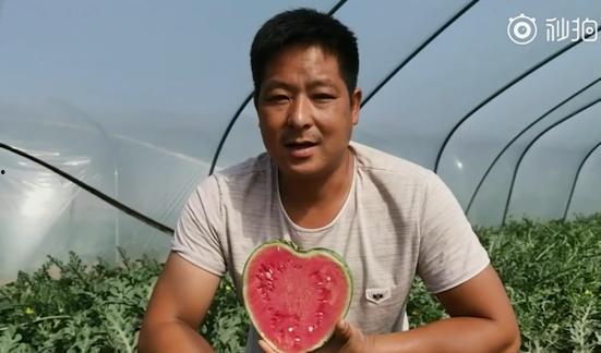 吃瓜翻车视频,揭秘网络视频背后的真相与反转