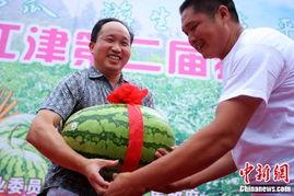 吃瓜重庆考试,一场别开生面的考试体验