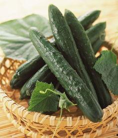 冠心病可以吃脆瓜,天然食疗新选择