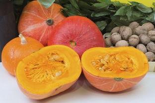 烫伤敢吃蒲瓜吗,营养与安全的双重考量