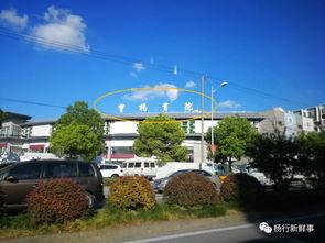 吃瓜的湾湾,揭秘娱乐圈幕后风云