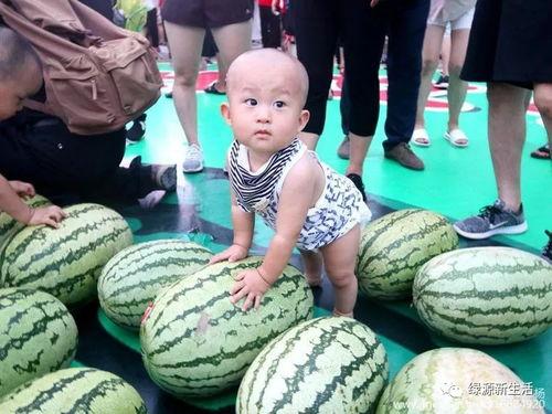 吃瓜的大橘,揭秘娱乐圈幕后风云