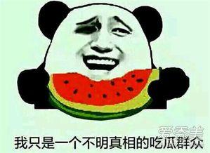 卖瓜吃瓜啥意思,揭秘“卖瓜吃瓜”背后的趣味哲理