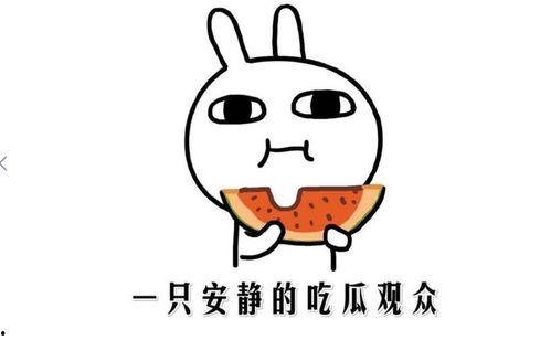 卖瓜吃瓜啥意思,揭秘“卖瓜吃瓜”背后的趣味哲理